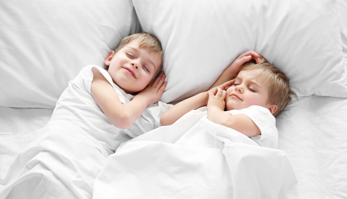 Dentons Pillows Quality Australian Pillows for Comfort Support